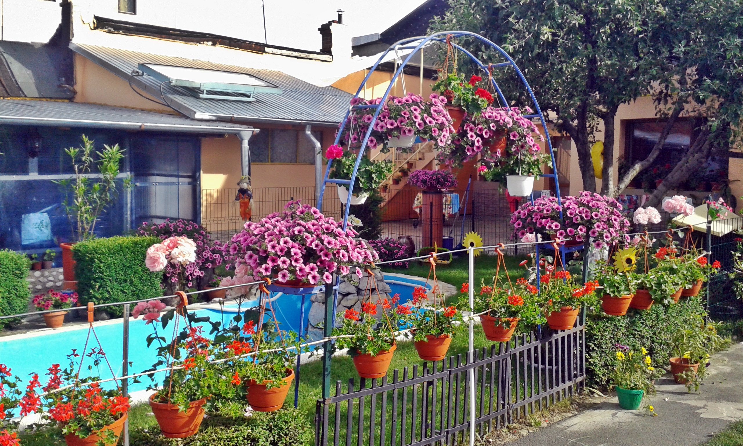 Galerie Foto Gradinita privata Sfantul Spiridon Ploiesti