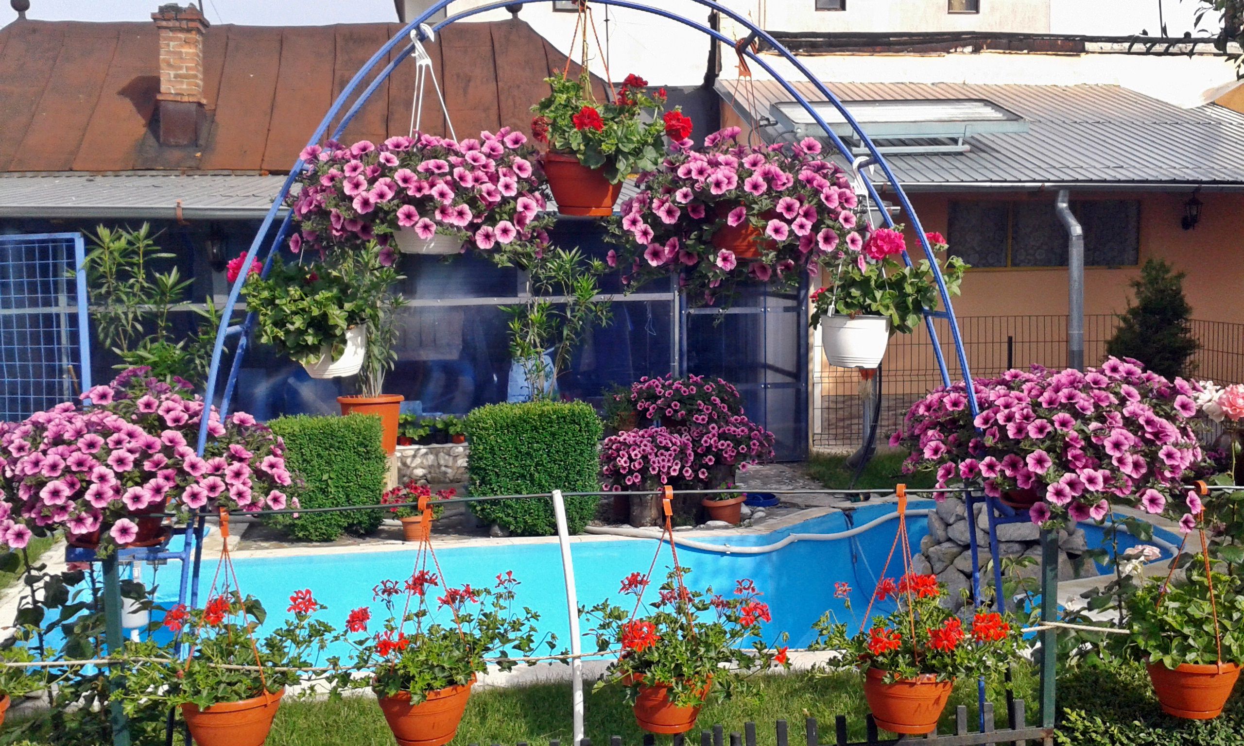 Galerie Foto Gradinita privata Sfantul Spiridon Ploiesti