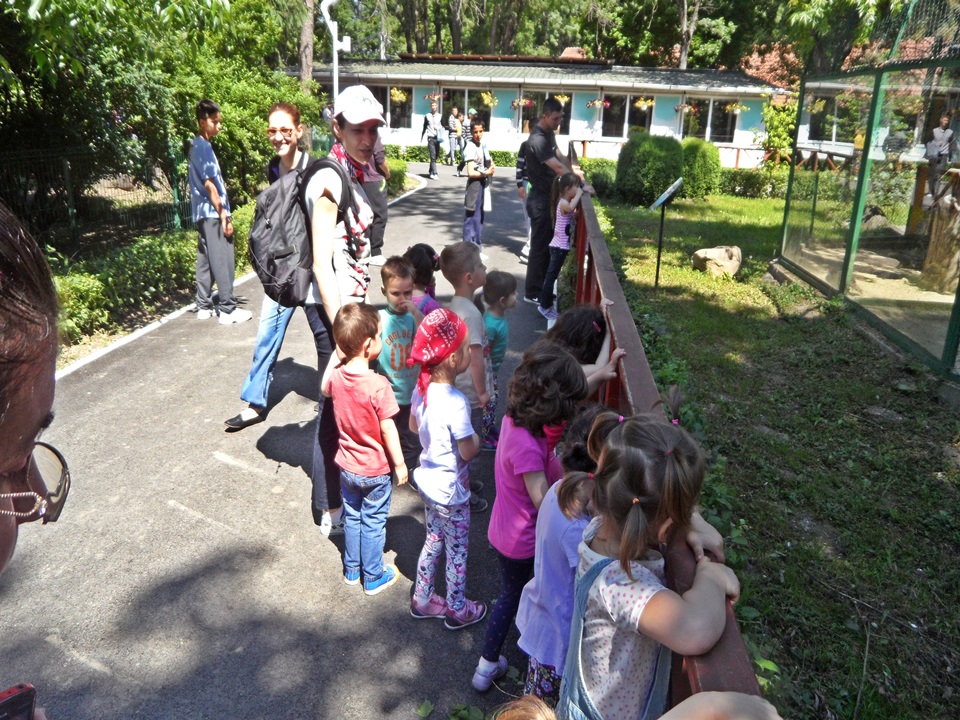 Galerie Foto Gradinita privata Sfantul Spiridon Ploiesti