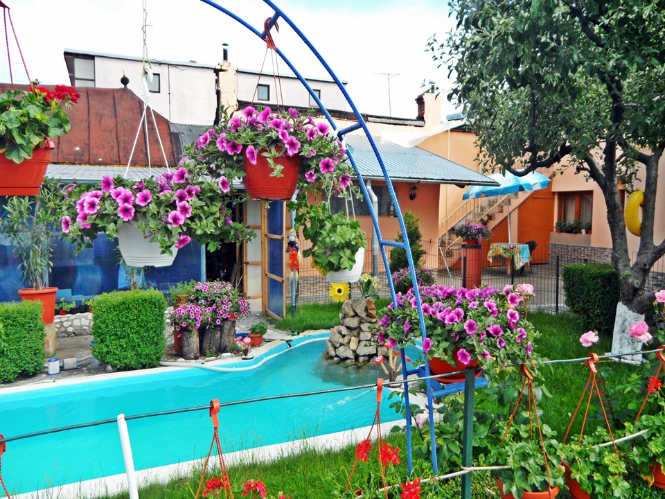 Galerie Foto Gradinita privata Sfantul Spiridon Ploiesti