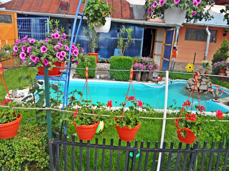 Galerie Foto Gradinita privata Sfantul Spiridon Ploiesti