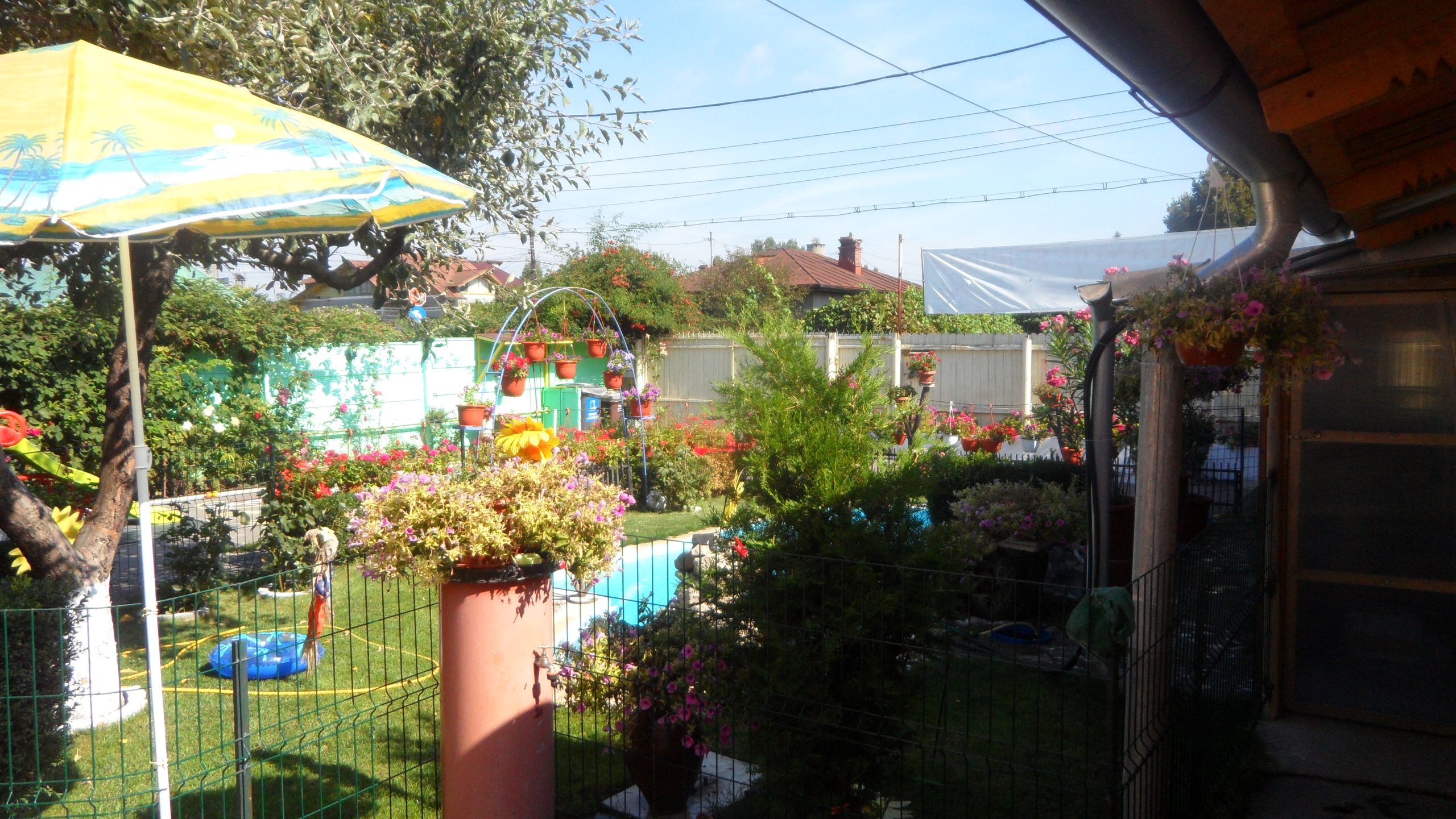 Galerie Foto Gradinita privata Sfantul Spiridon Ploiesti