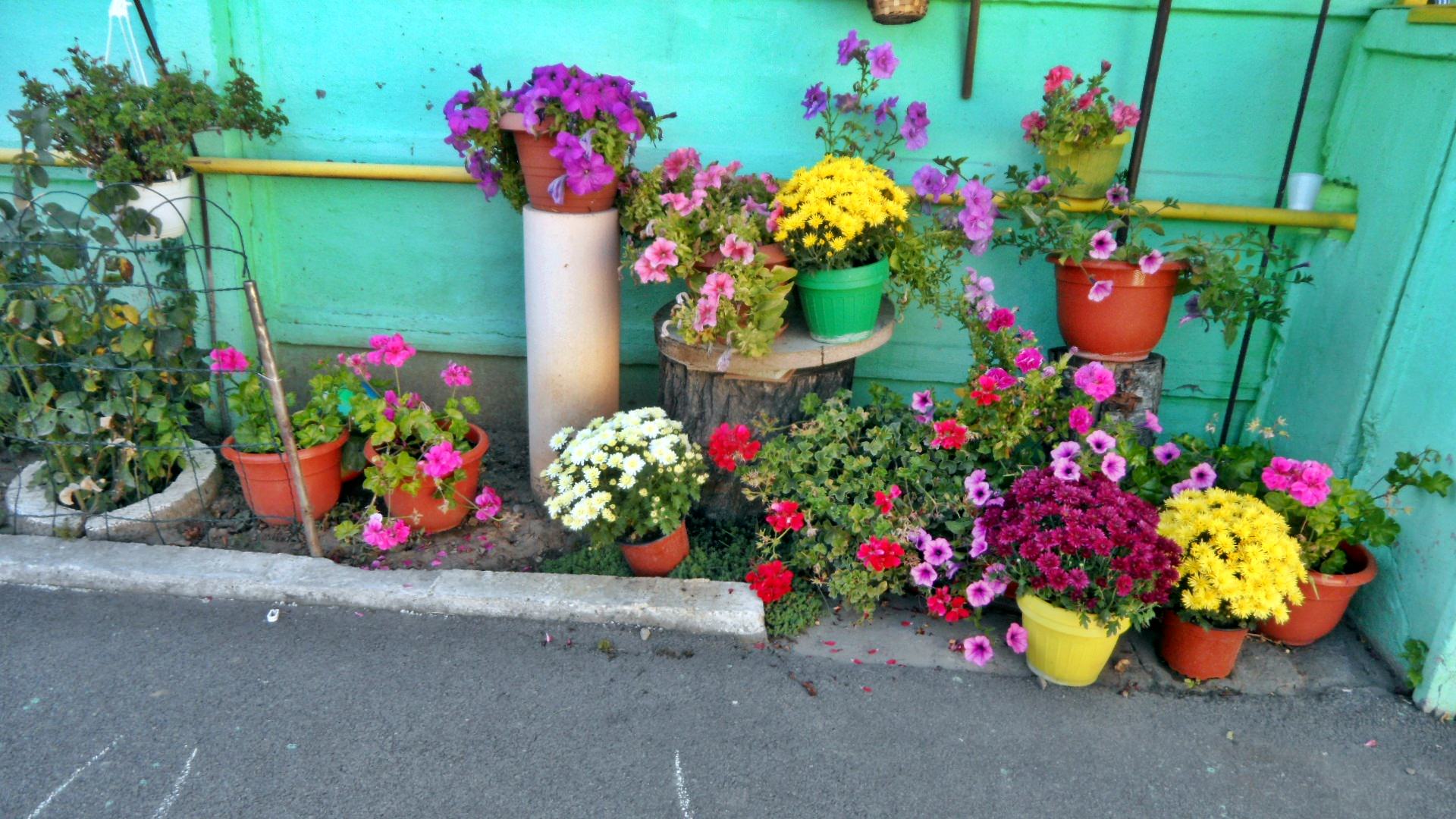 Galerie Foto Gradinita privata Sfantul Spiridon Ploiesti